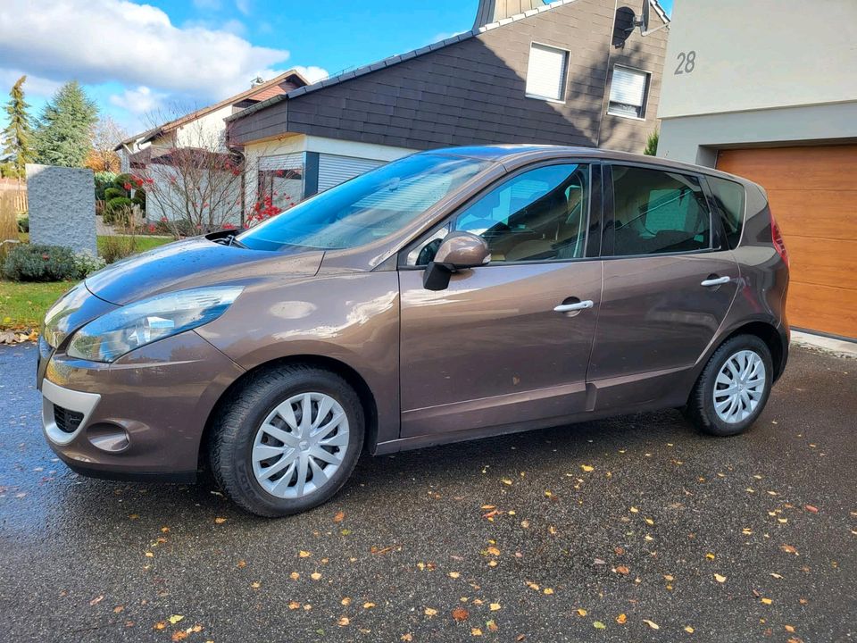 Renault Scenic in Albstadt