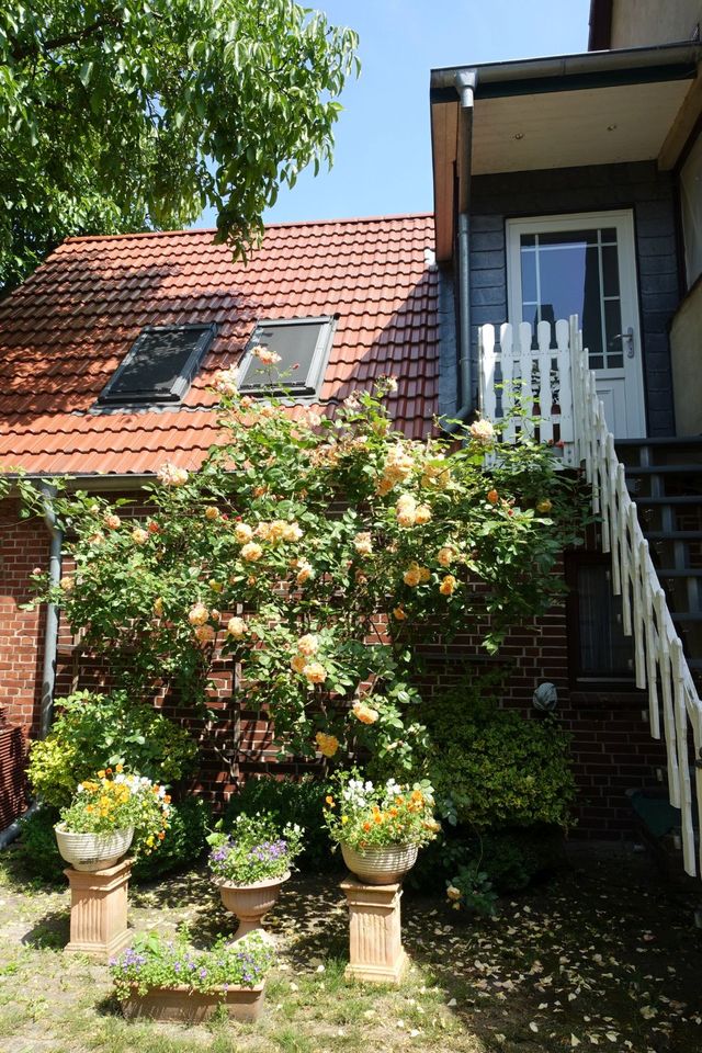 Ein- Zweifamilienhaus mit Garten in ruhiger Traumlage, Neuenfelde in Hamburg