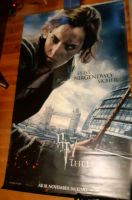 Kino Banner Poster groß Ant-Man Harry Potter Geostorm Rostock - Kröpeliner-Tor-Vorstadt Vorschau
