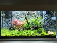 JUWEL Aquarium Rio 125l plus Zubehör Hessen - Bad Soden am Taunus Vorschau