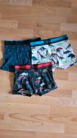 next Boxershorts 7er Set  140 Sachsen-Anhalt - Queis Vorschau