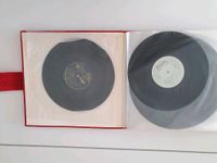 Schallplatten Vinyl LP Sammlung im Aufbewahrungsordner Niedersachsen - Hörden am Harz Vorschau