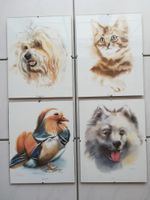 4 seltene tolle Hinterglas Tierbilder Hund Husky Katze Ente 30x24 Bayern - Dingolfing Vorschau