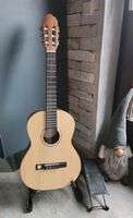 Gitarre Pro Natura Silver Series Walnut 3/4 Rheinland-Pfalz - Birken-Honigsessen Vorschau