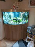 Juwel Aquarium 350 Liter Bayern - Kaufering Vorschau