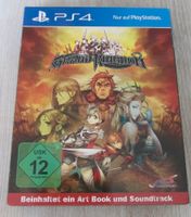 „PS4“ Spiel Sachsen-Anhalt - Dessau-Roßlau Vorschau