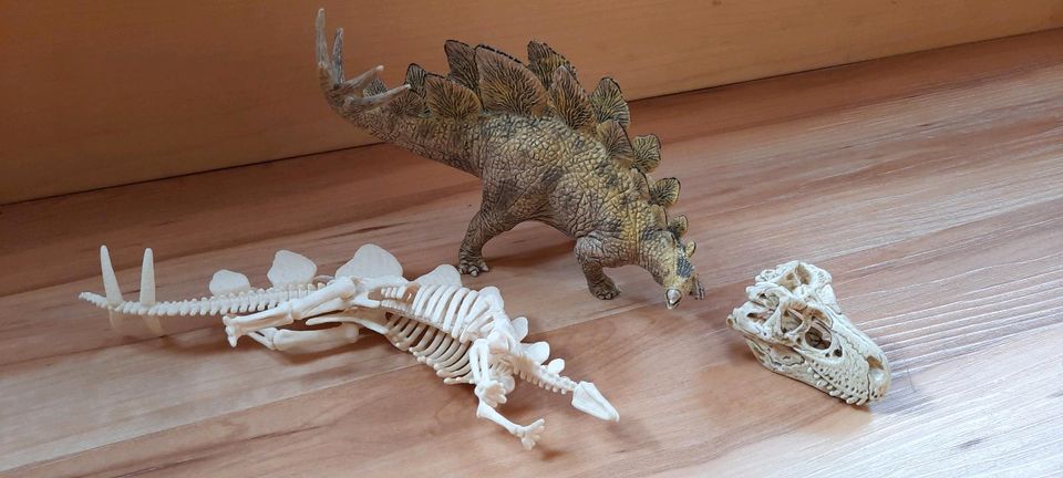 Stegosaurus Schleich-Figur + Skelett + Schädel T-Rex in Walddorfhäslach