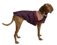 10% off Hundemantel Winter GF Pet Trekking Parka 2XL (RL61) lila Bayern - Kleinaitingen Vorschau