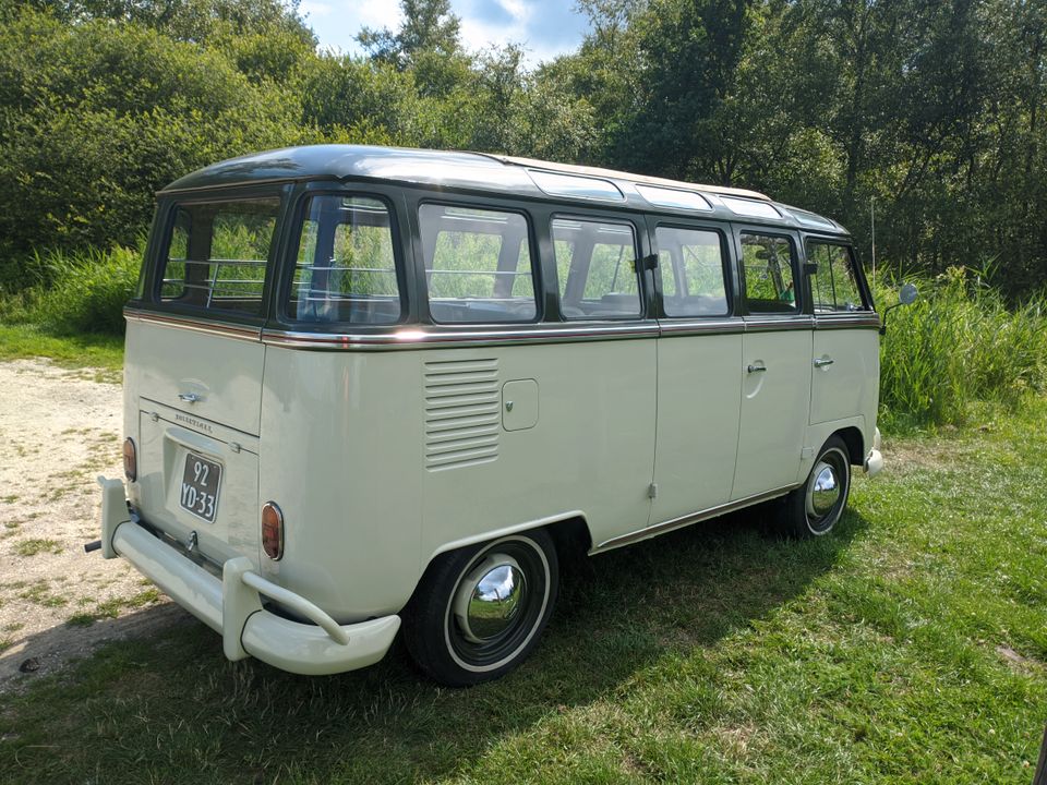 VW T1 Samba 1974 in Borken