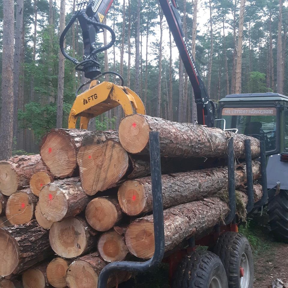 Sägewerk Holz Bretter  Bauholz Kantholz Brennholz  Feuerholz Carport  Rauspund Dachlatten Balken in Kemberg