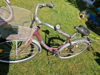 Fahrrad zu verkaufen Schleswig-Holstein - Tensfeld Vorschau