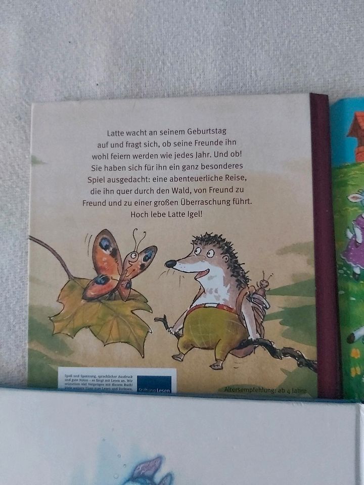 13 tolle Kinderbücher, Top Zustand in Nürnberg (Mittelfr)