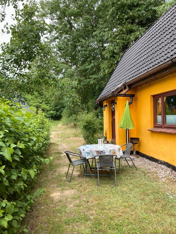 Ferienhaus beim Vogelpark Marlow / Ostsee in Marlow