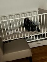 Gitterbett Baby Niedersachsen - Dörpen Vorschau
