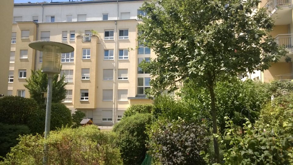 Sanierte Familienwohnung: 4-Zimmer-Hochparterre mit Loggia in Frankfurt am Main