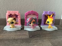 Littlest Petshop 3 Spiel-/Sammelfiguren Katze Hund Hase Bayern - Gersthofen Vorschau