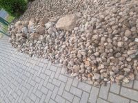 Steine, Findlinge, Teichsteine zu verschenken! Niedersachsen - Goldenstedt Vorschau