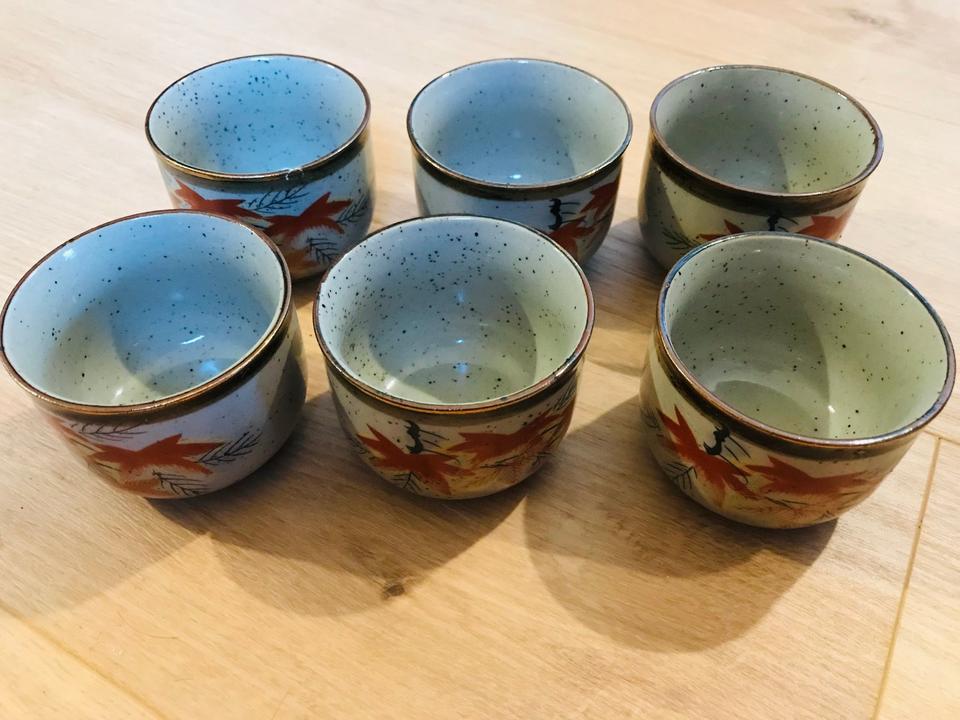 Vintage Japanisches Teeservice – 6 Tassen & Kanne – Ahornmuster in Laupheim