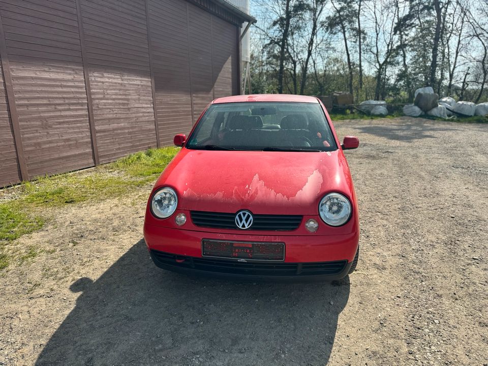 VW Lupo 1.4 16V defekt in Ummendorf