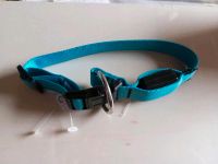 Halsband Hund leuchtet 40 cm Neu Brandenburg - Beeskow Vorschau