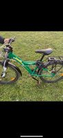 KETTLER Kinderfahrrad West - Nied Vorschau