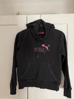 Puma Pullover Bielefeld - Dornberg Vorschau