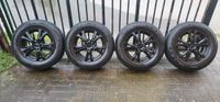 4x Alufelgen(CARMANI)/ LK5x114,3/ 6,5Jx16H2/ RDKS Kia Sportage/WR Mecklenburg-Vorpommern - Wolgast Vorschau