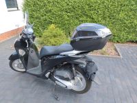 Roller Honda sh125 Häfen - Bremerhaven Vorschau