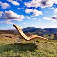 Sonnenliege, Himmelsliege, Waldsofa, Kaiserstuhl-Liege Baden-Württemberg - Endingen Vorschau