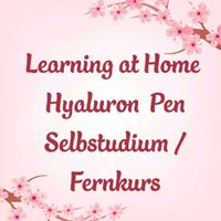 Learning at Home Hyaluron Pen Selbststudium Niedersachsen - Uetze Vorschau