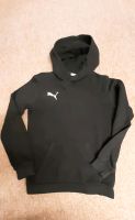 Puma Hoodie 164 Baden-Württemberg - Eggenstein-Leopoldshafen Vorschau