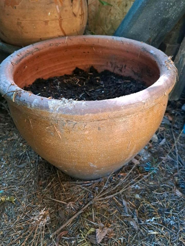 Terracotta Töpfe, verschiedene Größen in Hamburg