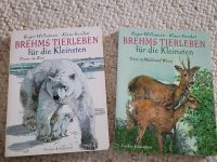 Pappbilderbuch,Brehms Tierleben für die Kleinsten, Tierbilderbuch Niedersachsen - Ribbesbüttel Vorschau