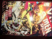 Comics: Marvel: X-MEN Special / X-Men (1,60€Porto) Schleswig-Holstein - Kirchbarkau Vorschau