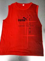 Puma Herren Shirt, Gr. M Nordrhein-Westfalen - Nettetal Vorschau