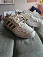 Adidas schuhe gold Sachsen - Bautzen Vorschau