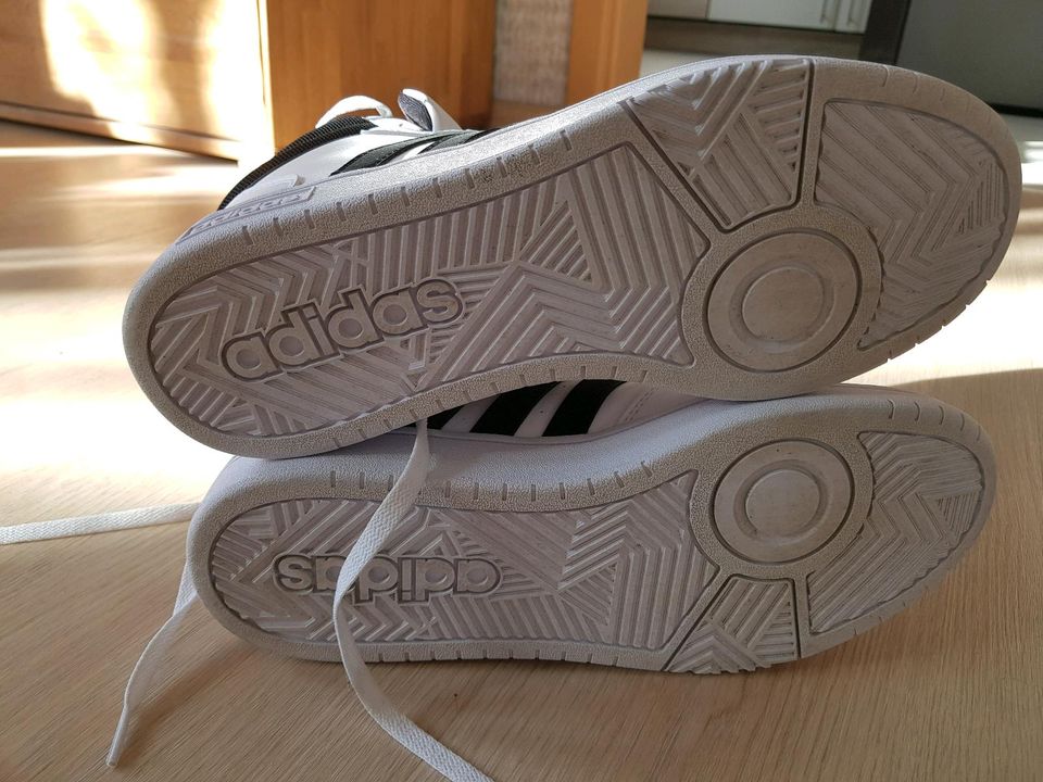 Adidas Schuhe Gr 43 in Kamp-Lintfort