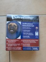 Hunde Schutzkragen  (Ersatz für Trichter) Niedersachsen - Sassenburg Vorschau