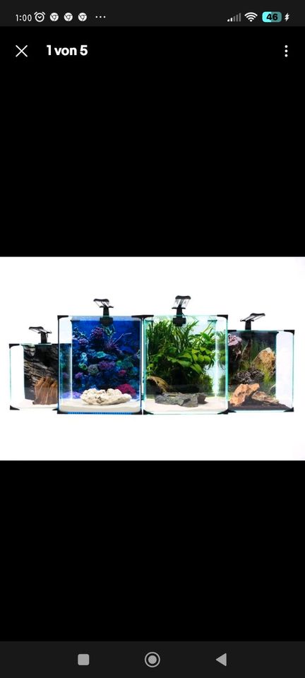 ✓SUCHE 15-30L✓ Nano Cube•Rechteck Aquarium•Aufzuchtbecken in Schwedt (Oder)