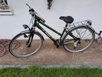 Fahrrad Trekkingrad CHAKA grün 28 Zoll Mülheim - Köln Dünnwald Vorschau