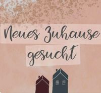 Haus oder Wohnung zur Miete gesucht Hessen - Friedberg (Hessen) Vorschau