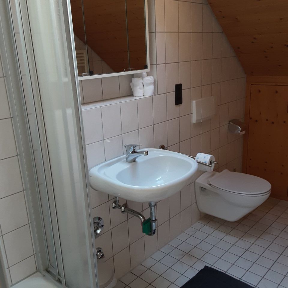 1 Zimmer-Appartement  60 qm Dachgeschoss in Grafenhausen