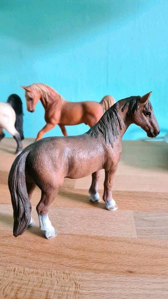 Schleich Tennessee Walker Hengst Stute Fohlen in Nürnberg (Mittelfr)