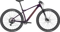 Lapierre Prorace CF 8.9 (purple) 2022 Größe L,M,XL UVP: 4699.0 Bayern - Würzburg Vorschau