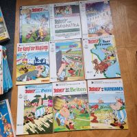 Asterix und Obelix Sammlung Hefte und Figuren Nordrhein-Westfalen - Eitorf Vorschau