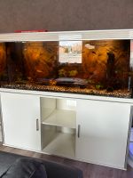 500 Liter Aquarium Sachsen-Anhalt - Lützen Vorschau