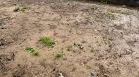 Bewässerungsanlage Bewässerungssystem Rasen Hunter Hessen - Baunatal Vorschau