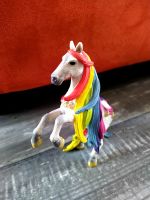 Schleich Bayala Regenbogen Pferd magnetisch ohne Elfe Amisi 70483 Niedersachsen - Goslar Vorschau