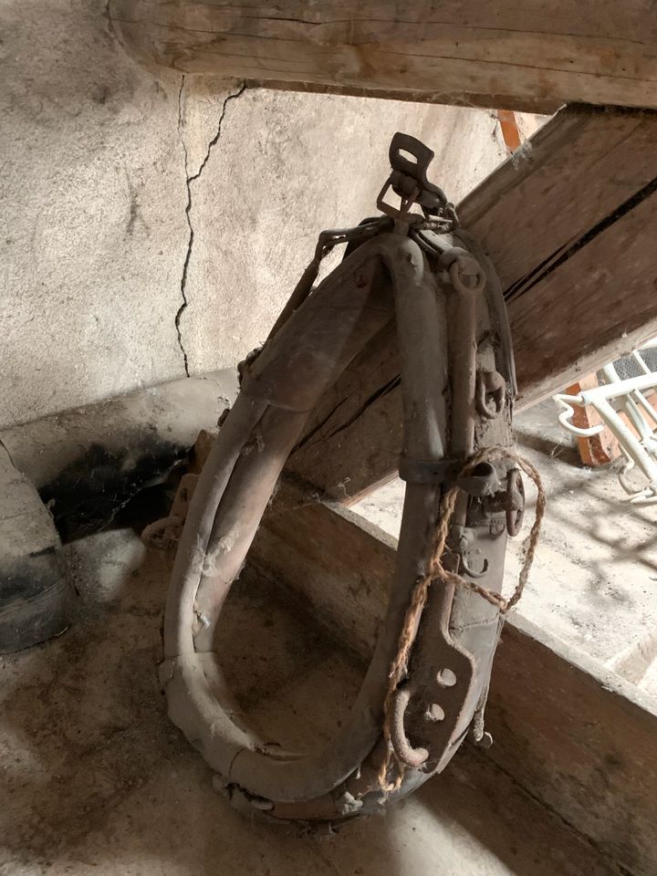 Altes Pferdegeschirr Kummet in Osann-Monzel