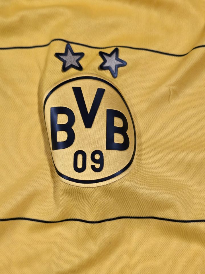 Original BVB 09 Borussia Dortmund Heimtrikot Saison 2015-2016. M in Recklinghausen